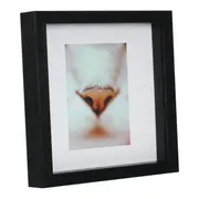 QUADRO KITTEN 20 CM X 20 CM - PRETO/CORES CALEIDOCOLOR - Foto 2
