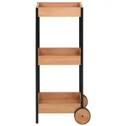 CARRINHO ALTO 46 CM X 37 CM FLO - EUCALIPTO/PRETO - Foto 5