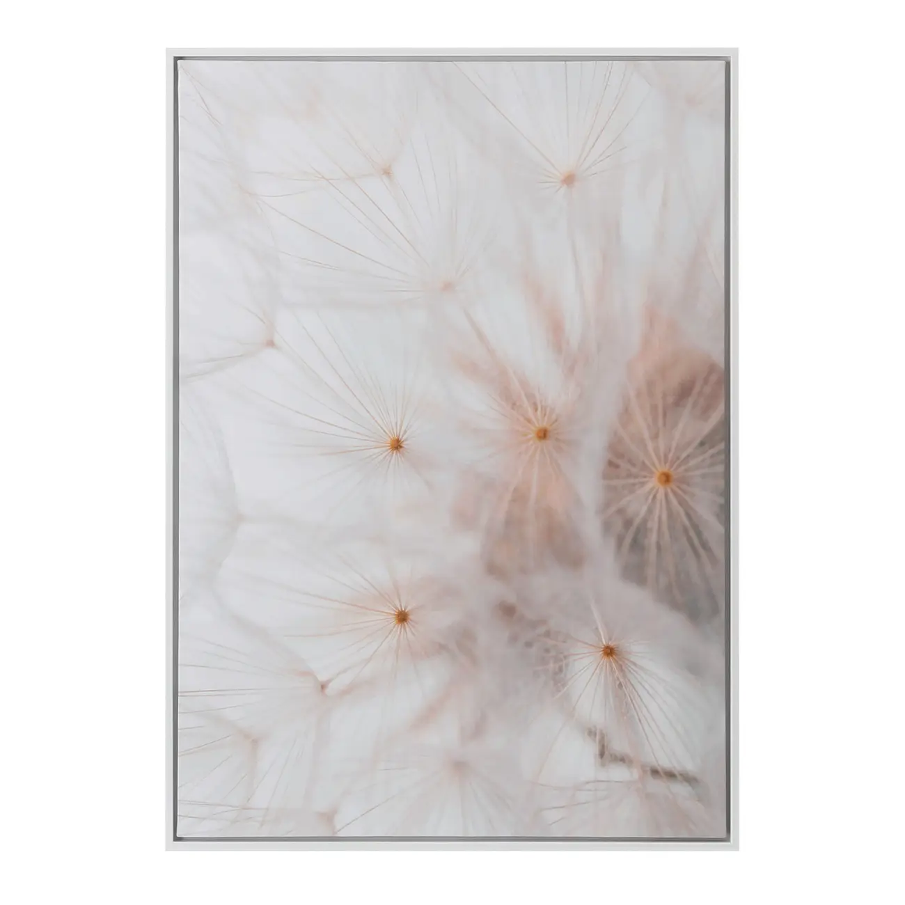 QUADRO 50 CM X 70 CM DANDELION - BRANCO/NATURAL - Foto 1