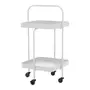 CARRINHO 44 CM X 44 CM DOBRADINHA - FLANDRES - Foto 3
