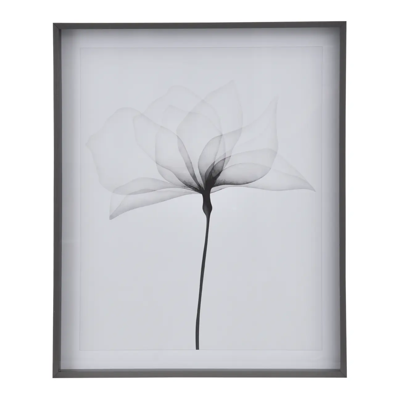 QUADRO 69 CM X 84 CM X-RAY FLOWERS I - KONKRET/BRANCO - Foto 1
