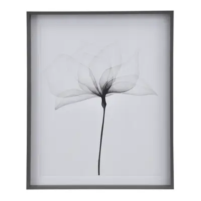 QUADRO 69 CM X 84 CM X-RAY FLOWERS I