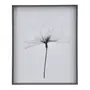 QUADRO 69 CM X 84 CM X-RAY FLOWERS I - KONKRET/BRANCO - Foto 1