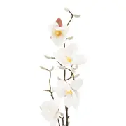 FLOR SUMAUMA - BRANCO/AMARELO HANBAR - Foto 1