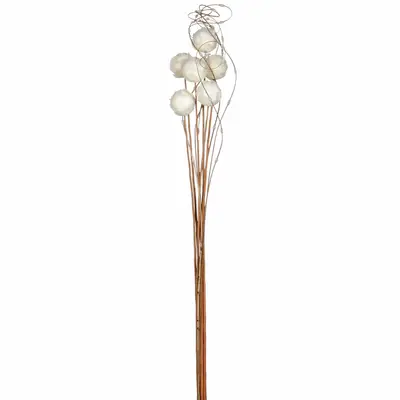 BOUQUET COM 6 ESCAMA DE PEIXE