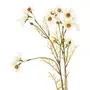 FLOR SKY COSMOS - OFF-WHITE/MARROM - Foto 2
