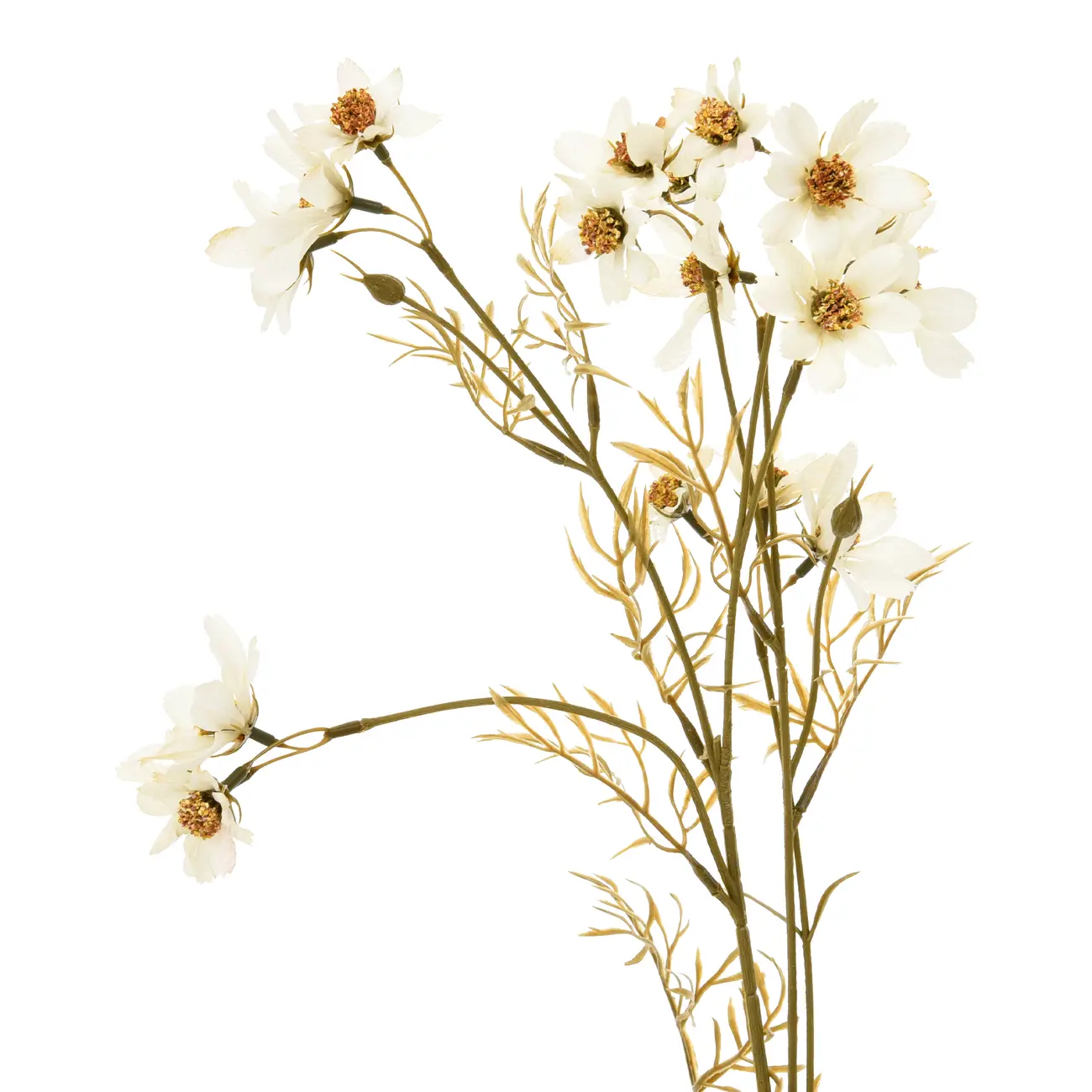 FLOR SKY COSMOS - OFF-WHITE/MARROM - Foto 2