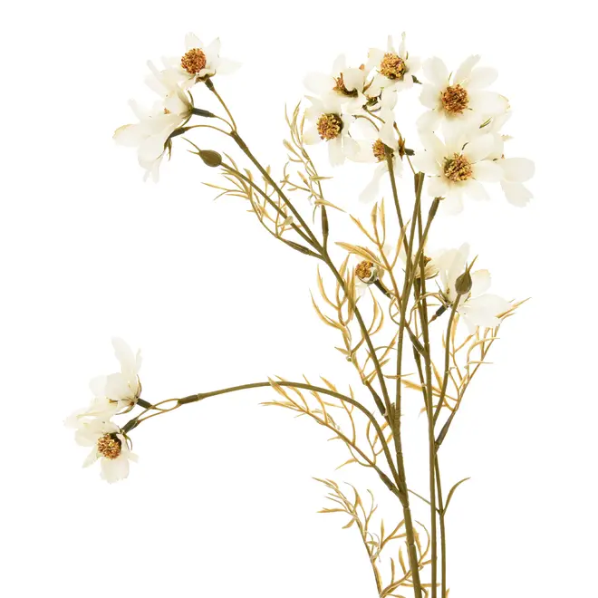 FLOR SKY COSMOS - OFF-WHITE/MARROM - Foto 2